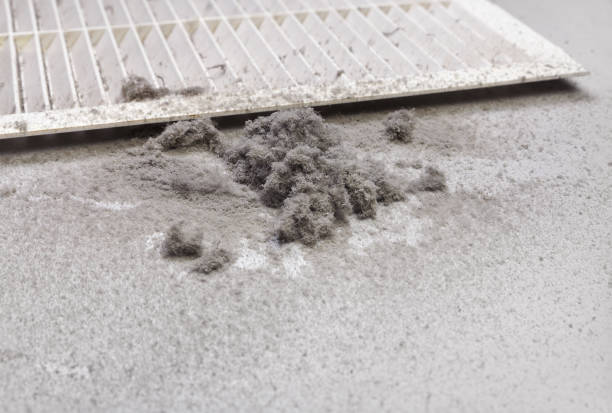 Best Home Air Vent Cleaning  in Hollywood Park, TX