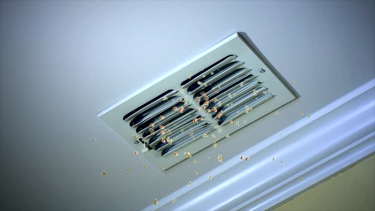 Best Residential Air Duct Cleaning  in Hollywood Park, TX