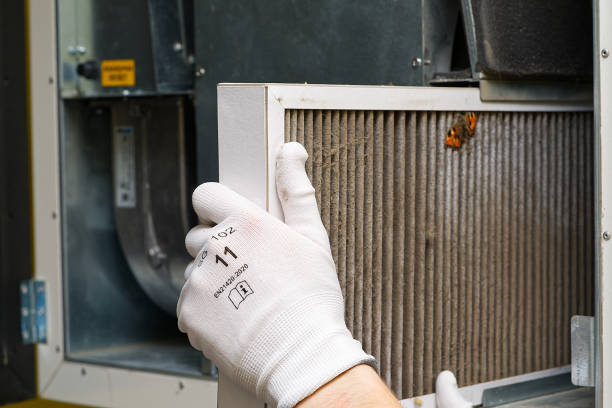 Best Local Air Duct Cleaning Services  in Hollywood Park, TX